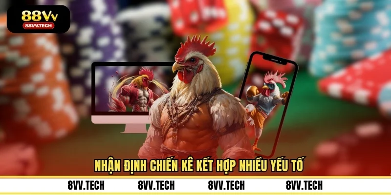 Nhận định chiến kê kết hợp nhiều yếu tố